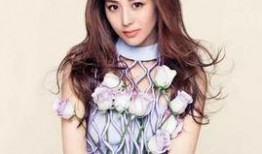 娱乐圈爆料张小菲是谁啊,张小菲身份揭秘，究竟是谁引发热议？