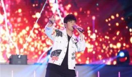 黄石演唱会爆料视频,独家爆料视频揭秘精彩瞬间