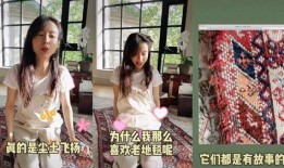 老汪爆料王梦婷视频大全,王梦婷视频大全背后的惊人真相