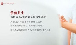 陈春花最新爆料,揭秘企业成功之道与行业变革趋势