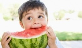 免费吃瓜不收费故事,不收费的奇妙故事之旅