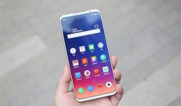 魅族20最新爆料换屏幕,屏幕技术革新，视觉体验再升级