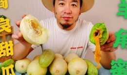 吃瓜网红大学时