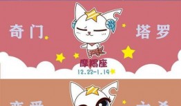 凑热闹吃瓜的小说免费阅读,跟随小说主角一起免费品尝人生百味