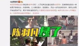 刘泰炜事件爆料视频播放,揭秘背后惊人真相