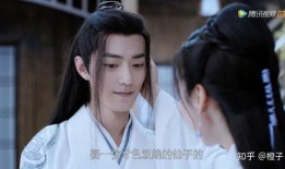 陈情令在线观看电视剧,探寻仙侠世界的奇幻之旅