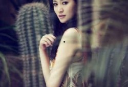 李小冉爆料明星视频大全,独家视频大揭秘