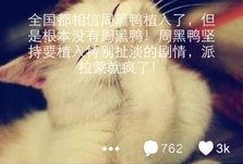 微博最新爆料周黑鸭是谁