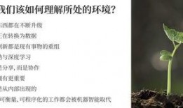 陈春花最新爆料,揭秘企业成功之道与行业变革趋势