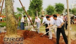 玉林江南公园最新爆料,绿意盎然，休闲新地标即将亮相
