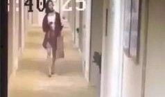 乐山酒店爆料视频曝光最新,揭秘酒店内幕，引发公众关注