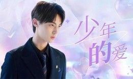 《少年爱在线观看,青春校园的甜蜜邂逅