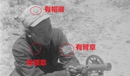 洪大炮爆料真实人气视频,真实人气视频背后的惊人真相