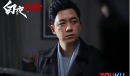 白夜追凶网剧在线观看,网剧悬疑巅峰，揭秘黑白两道生死较量！