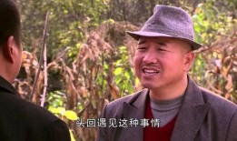 乡村爱情圆舞曲在线观看,重温经典农村爱情故事