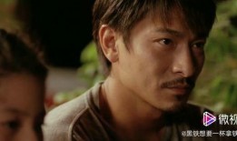 刘德华电影 在线观看,在线重温经典瞬间