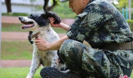 缉毒人在线观看,生死较量，正义之光