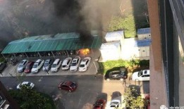 河南一小区爆料视频最新,业主维权引发关注，真相究竟如何？