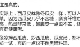 吃瓜发疯小说推荐知乎免费阅读,揭秘知乎免费阅读的精彩世界