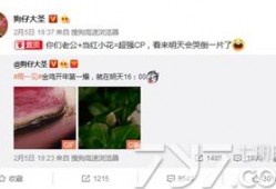 狗仔卓伟徒弟爆料视频,狗仔界幕后真相大曝光