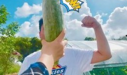 网红吃瓜贵圈wb,揭秘娱乐圈幕后故事