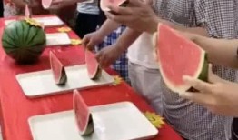 凑热闹吃瓜的小说免费阅读,跟随小说主角一起免费品尝人生百味