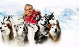 南极大冒险在线观看影片,极地探险的惊心动魄之旅