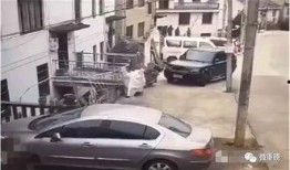 绍兴高速爆料事件最新,揭秘背后真相与争议焦点