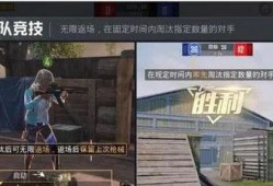 王小姐爆料和平精英视频,揭秘和平精英幕后精彩瞬间