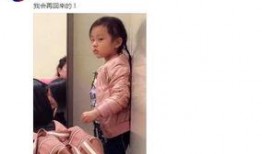 最新娱乐圈新闻爆料网红,娱乐圈最新爆料揭秘