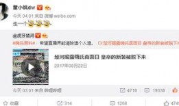 嗨氏爆料视频大全下载,揭秘幕后真相与精彩瞬间
