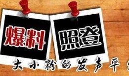 大活动最新爆料新闻,精彩看点抢先知！