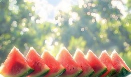 买花吃瓜视频素材下载免费,免费下载买花吃瓜视频素材，感受生活美好瞬间